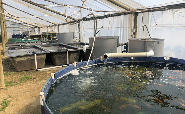 fish-tanks - Copy